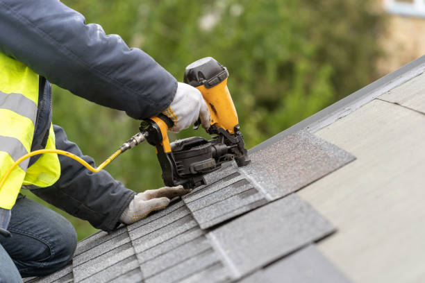 Best Solar Panel Roofing Installation  in Tice, FL